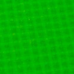 Night&Day Plus - BK  – Verde Grama
